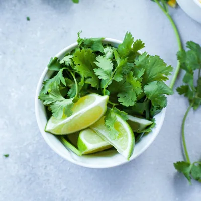 Cilantro Chutney Recipe