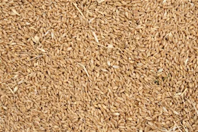 Cracked Wheat Dalia Recipe